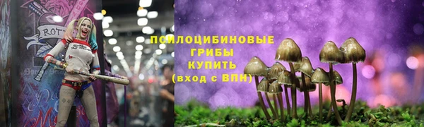 круглые Арсеньев