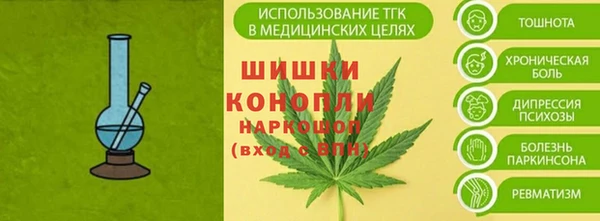 крисы Белокуриха