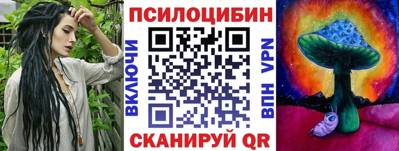 Галлюциногенные грибы Cubensis Строитель